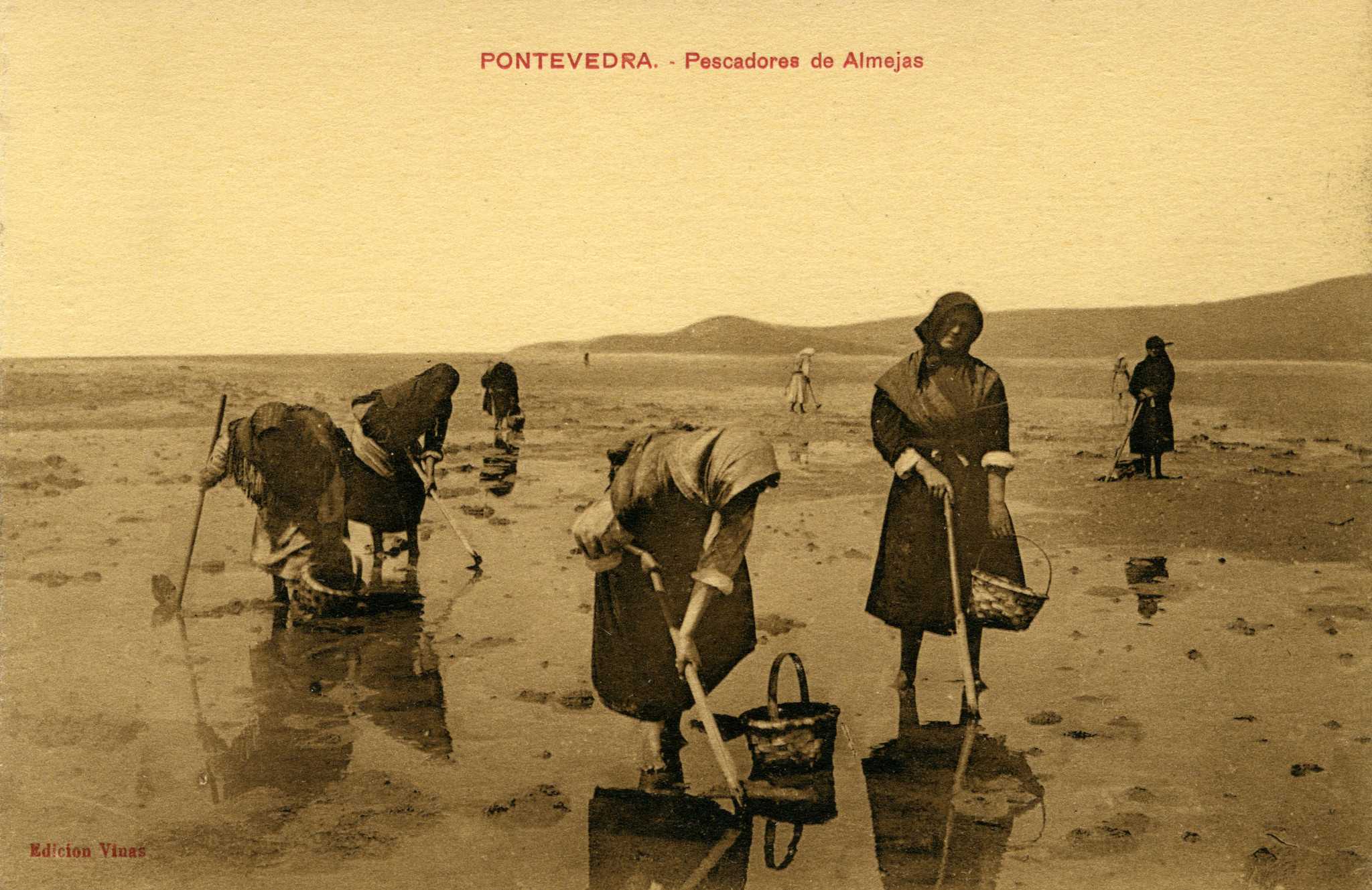 Neste momento estás a ver Mariscadoras en Pontevedra
